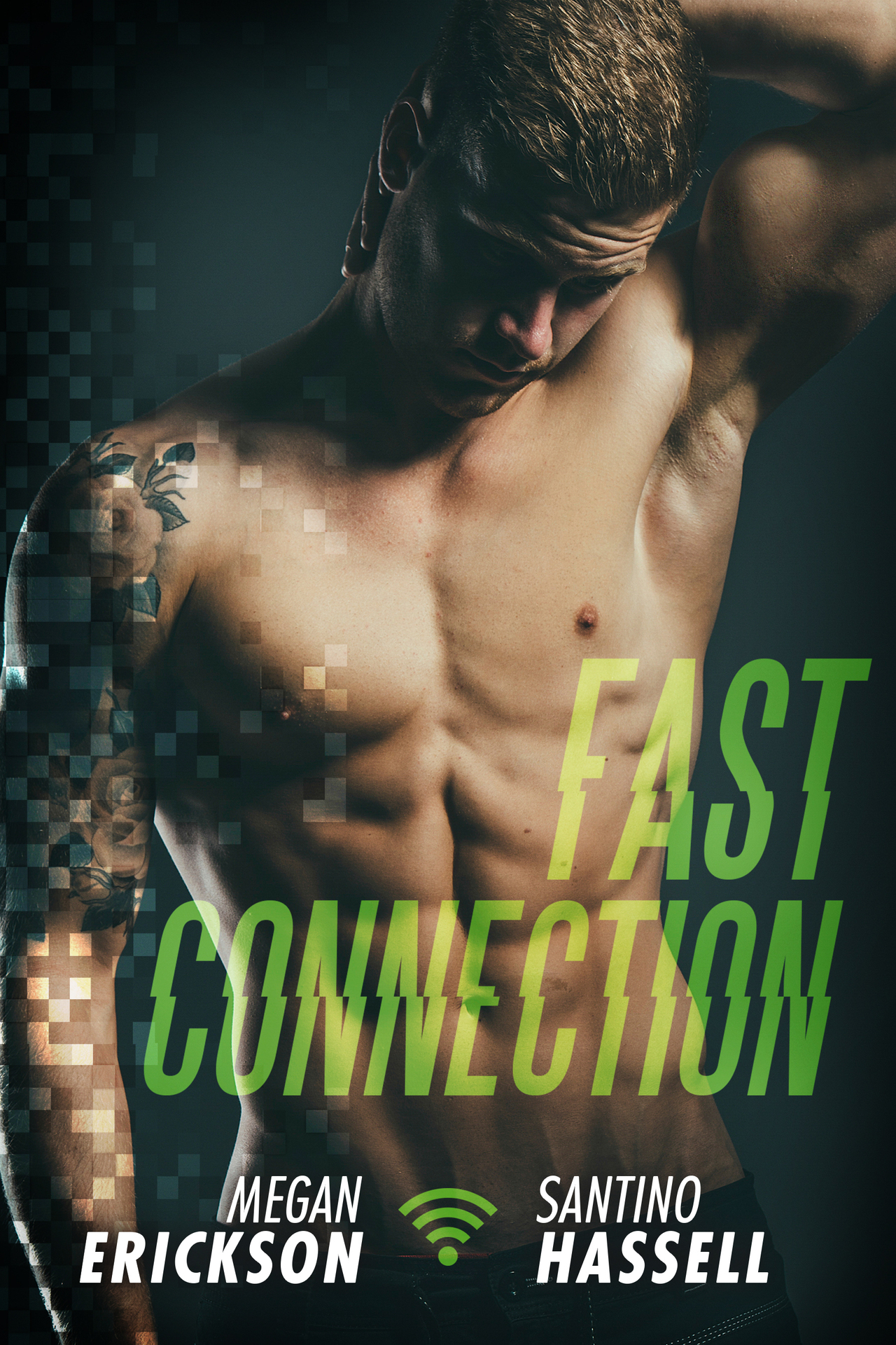 Fast Connection (Cyberlove Book 2)